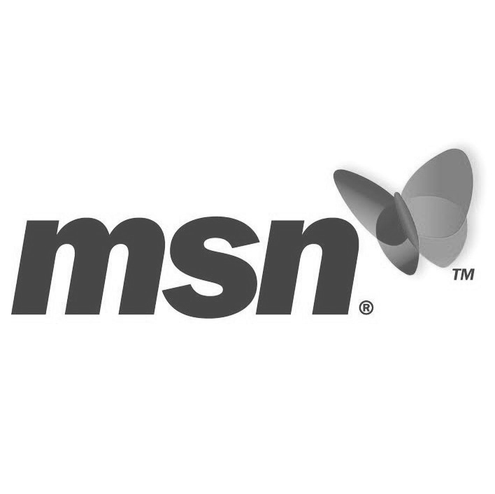 MSN Logo