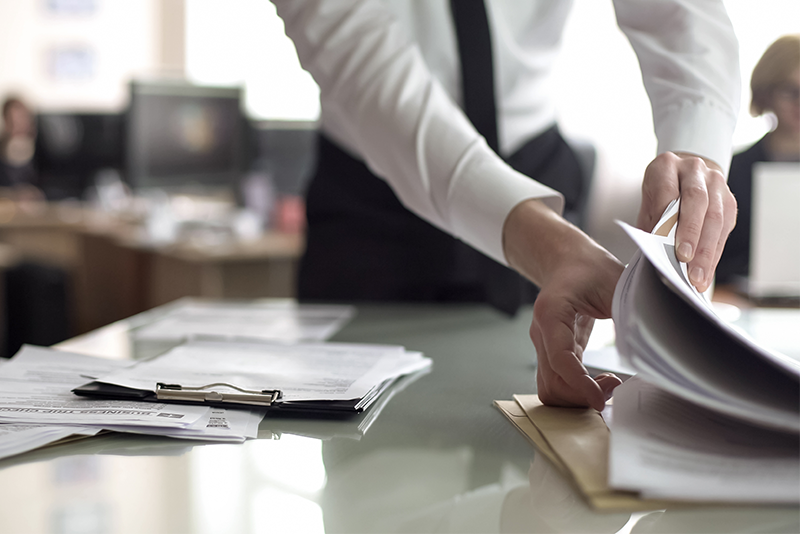 Woman Looking at Paperwork